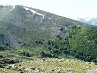 2026-05-09 Le cime di Casamaina 061